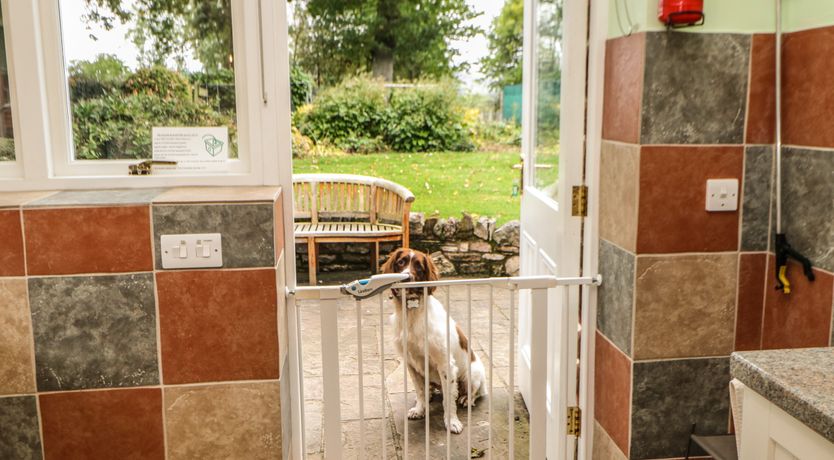 Photo of Holly Lodge