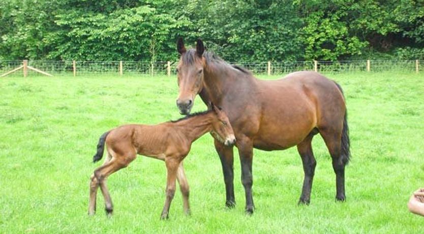 Photo of Post Box Cottage