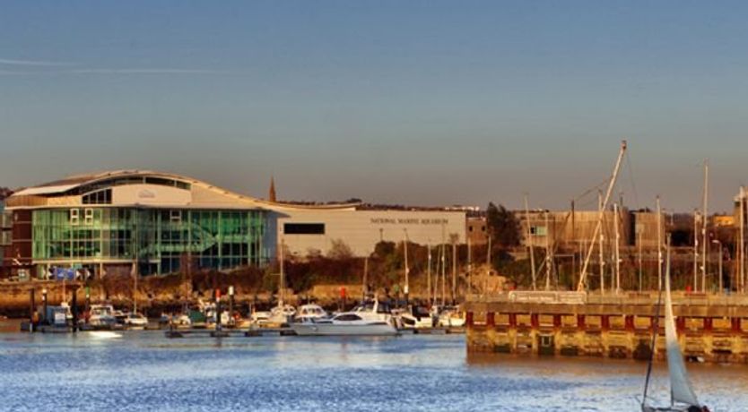 Photo of No 7 1 Elliot Terrace