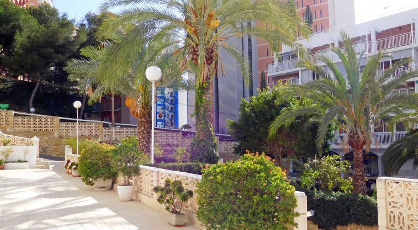 Photo of Halcon Levante