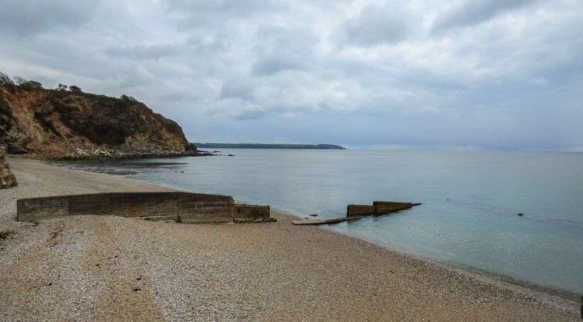 Photo of The Mackerel