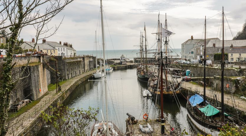 Photo of The Mackerel