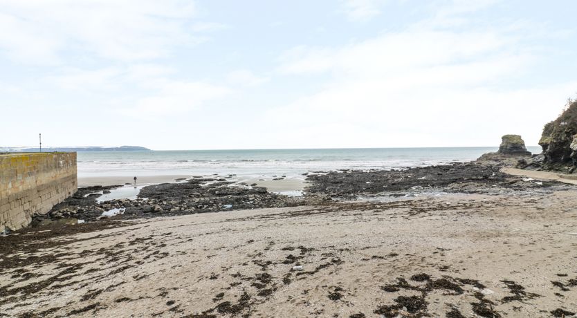 Photo of The Mackerel