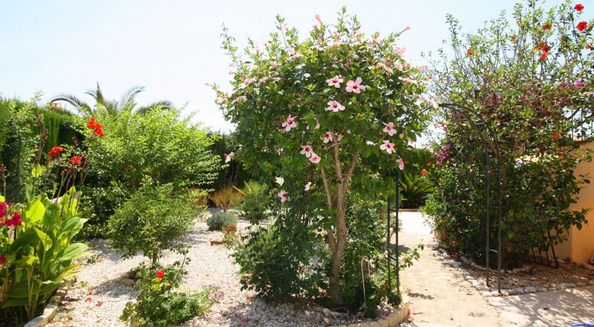 Photo of Villa Elena - Costa Calpe