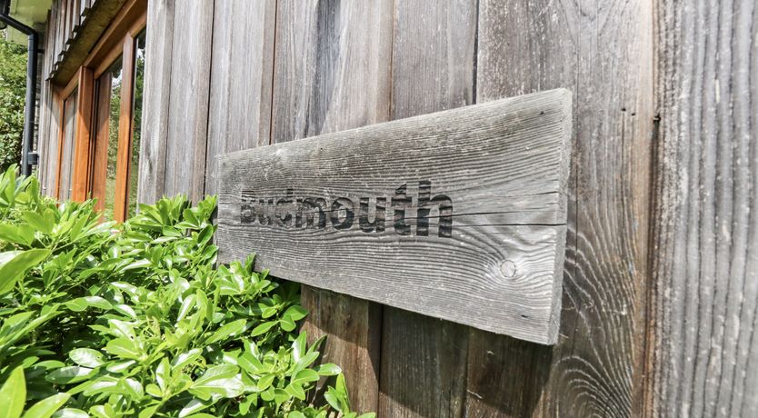 Photo of Budmouth