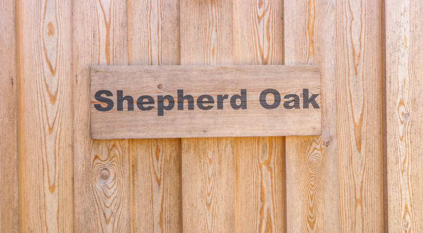Photo of Shepherd Oak