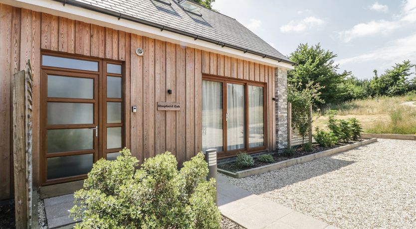 Photo of Shepherd Oak