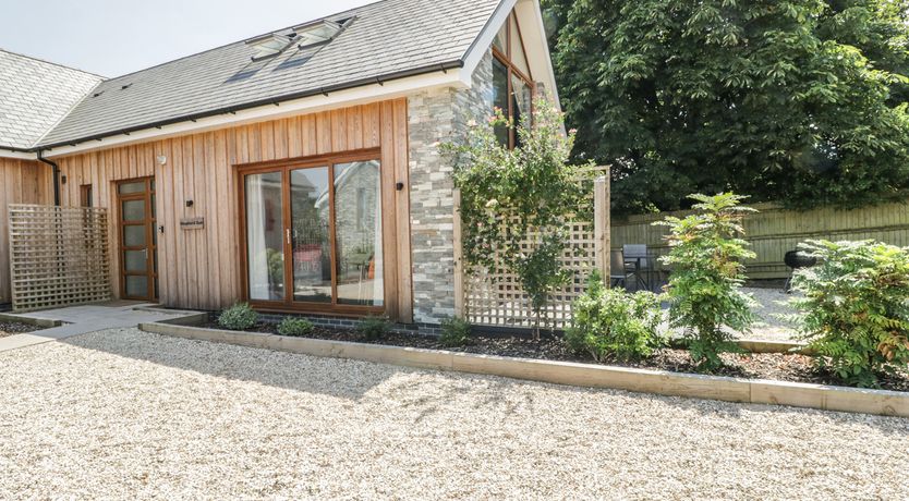 Photo of Shepherd Oak