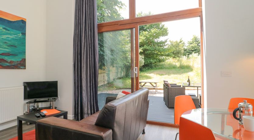 Photo of Shepherd Oak