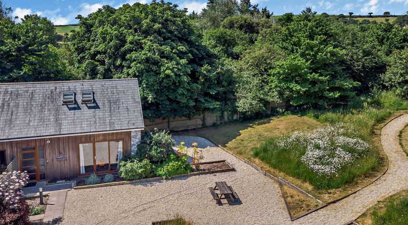 Photo of Shepherd Oak