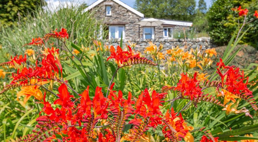 Photo of Bwythyn Y Wennol