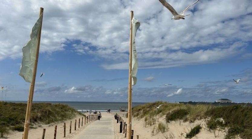 Photo of Tapuit sauna 8