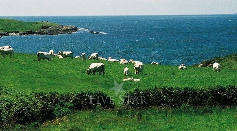 Photo of Ballyvonane House