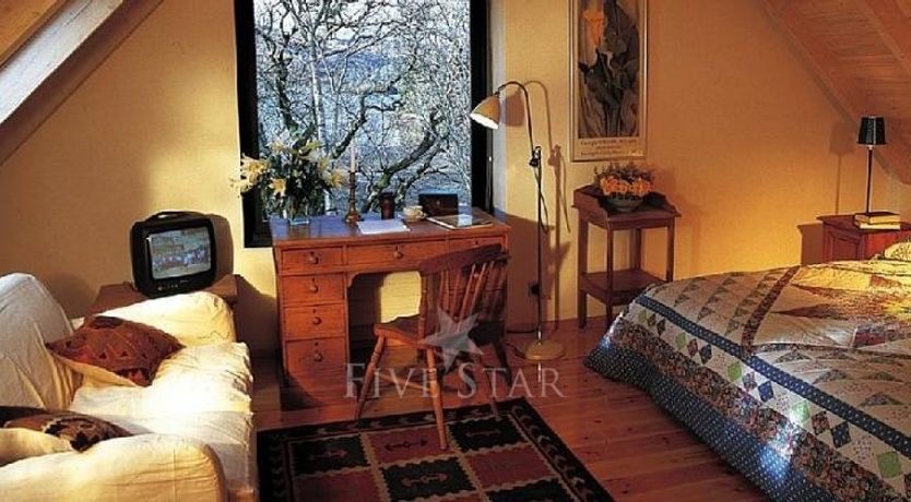 Photo of Large Birch House