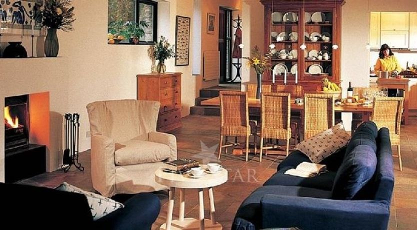 Photo of Large Birch House