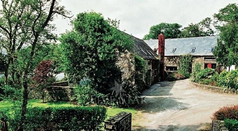 Photo of Large Birch House