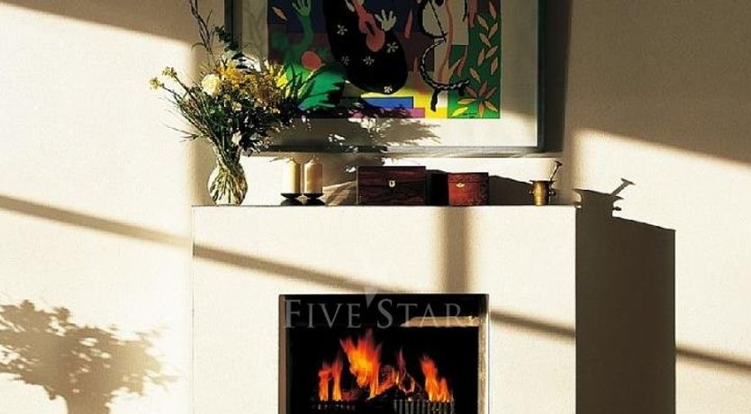 Photo of Large Birch House