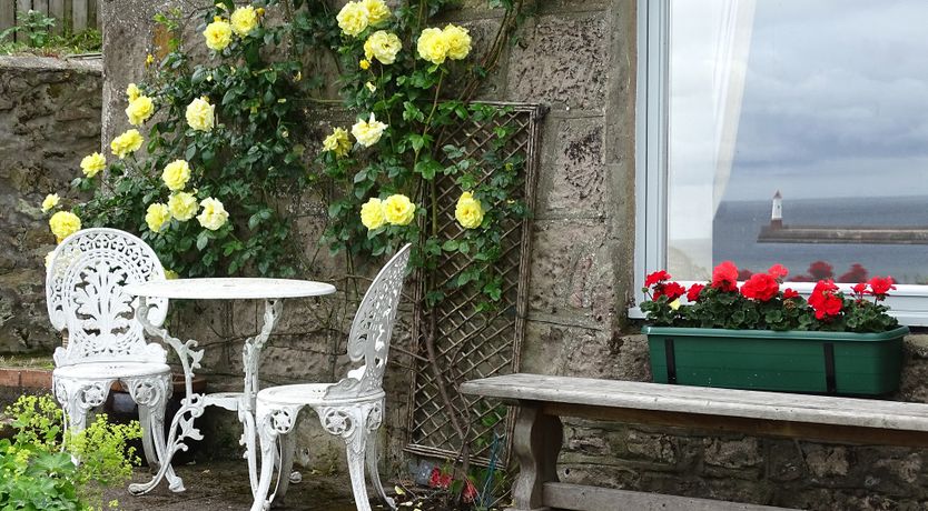 Photo of The Lookout