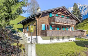 Chalet Bienli Mitte Holiday Home