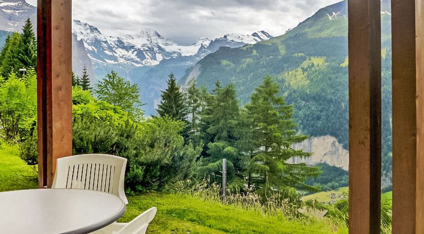 Photo of Primula Apt. B