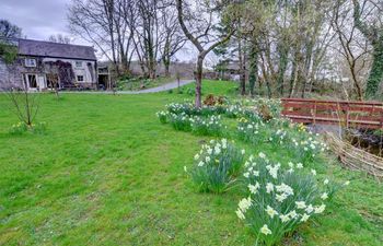 Felin Fach Holiday Cottage