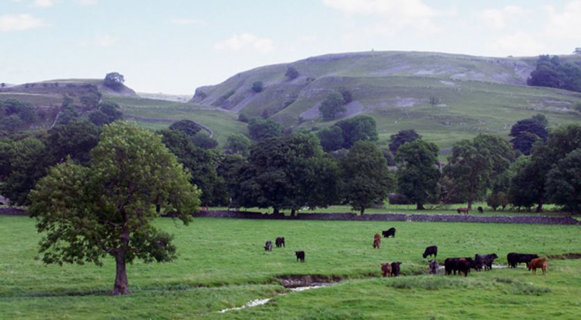 Photo of Grange Cottage