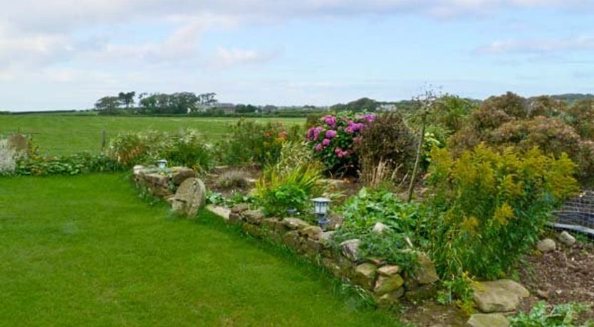 Photo of Surprise View