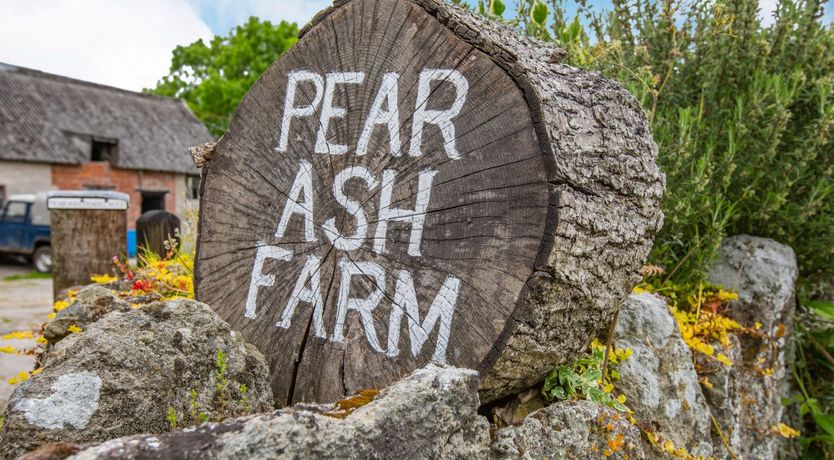Photo of The Old Bull Stall
