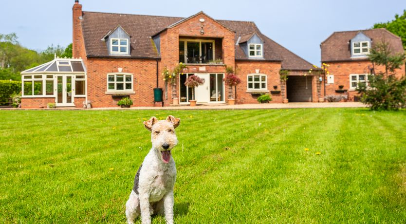 Photo of Broadleaf Lodge