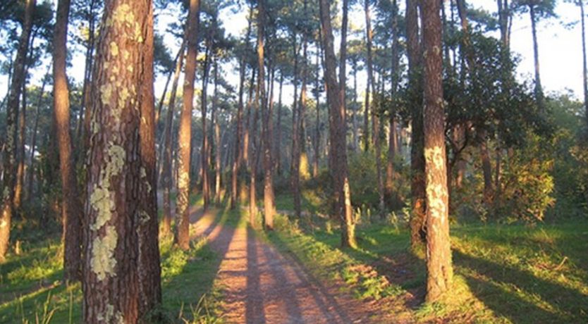 Photo of Le Duplex de Chiberta