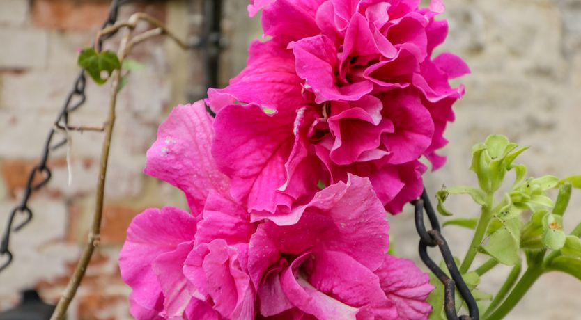 Photo of Old Cart Shed