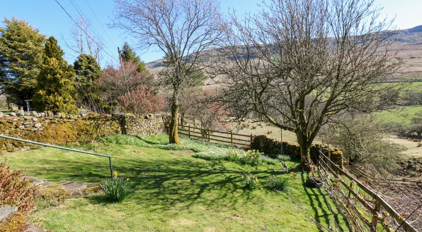 Photo of Sycamore Tree Farm