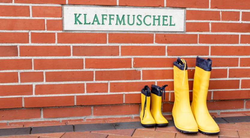 Photo of Klaffmuschel