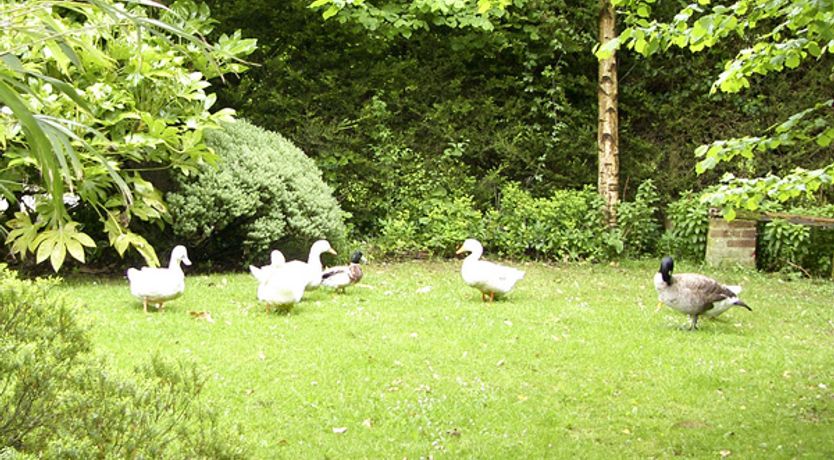 Photo of The Hayloft