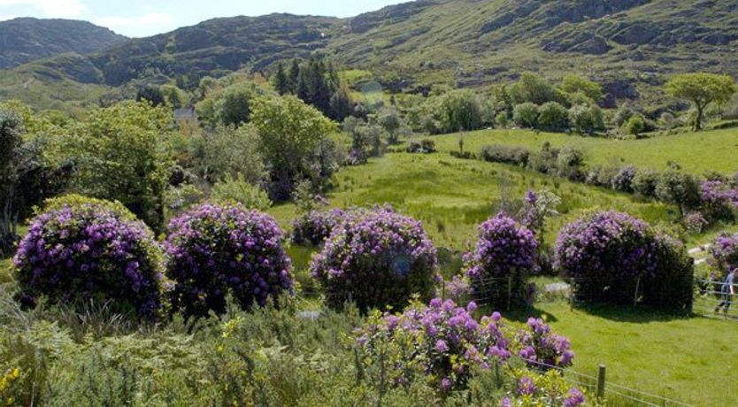 Photo of Fehanaugh Cottage