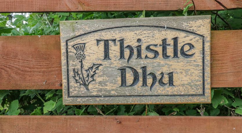 Photo of Thistle Dhu