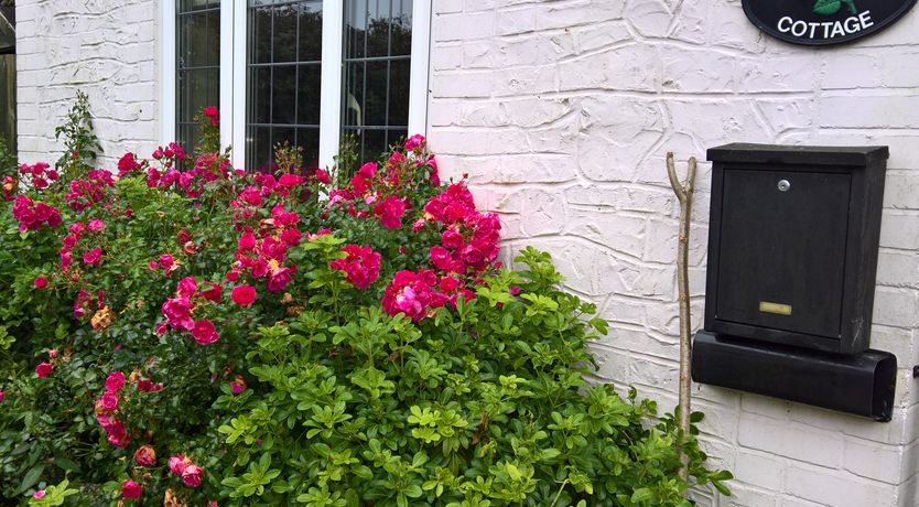 Photo of Rose Cottage