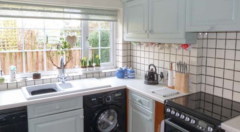 Photo of Ted's Place