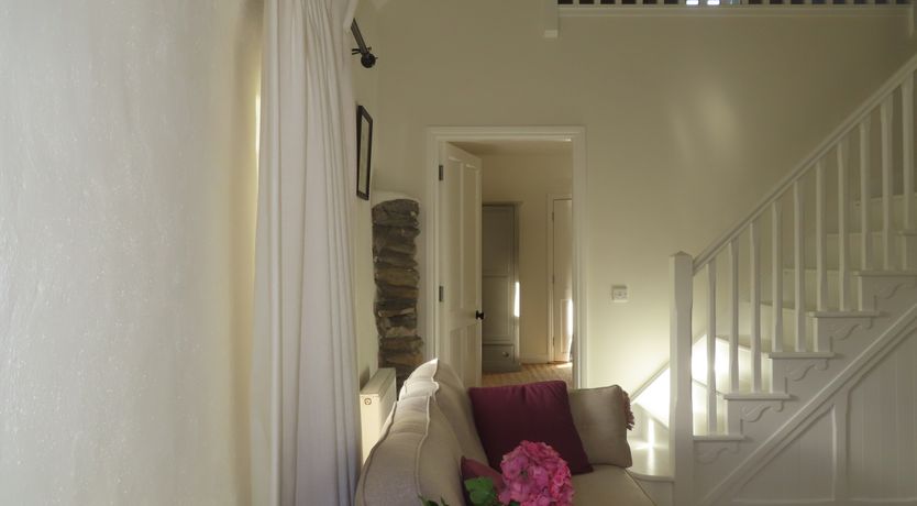 Photo of The Humble Daisy