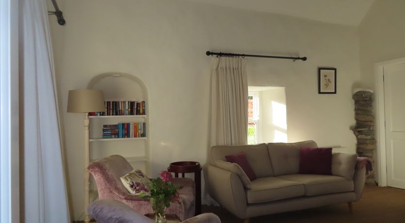 Photo of The Humble Daisy