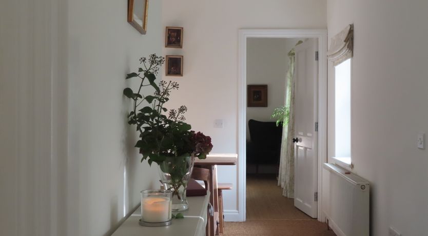 Photo of The Humble Daisy