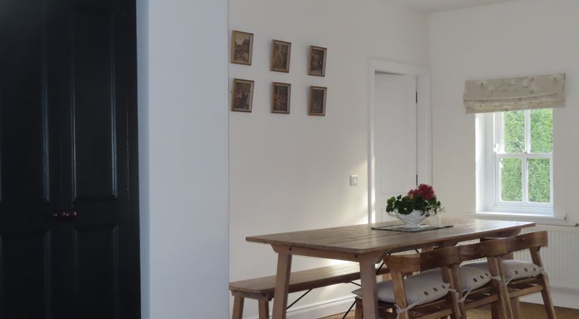 Photo of The Humble Daisy