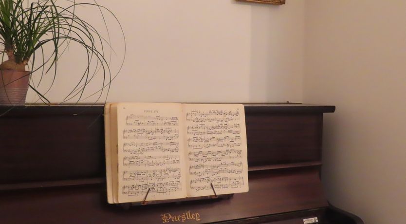 Photo of The Humble Daisy