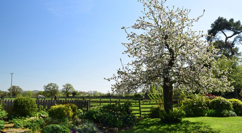 Photo of Parrs Meadow Cottage