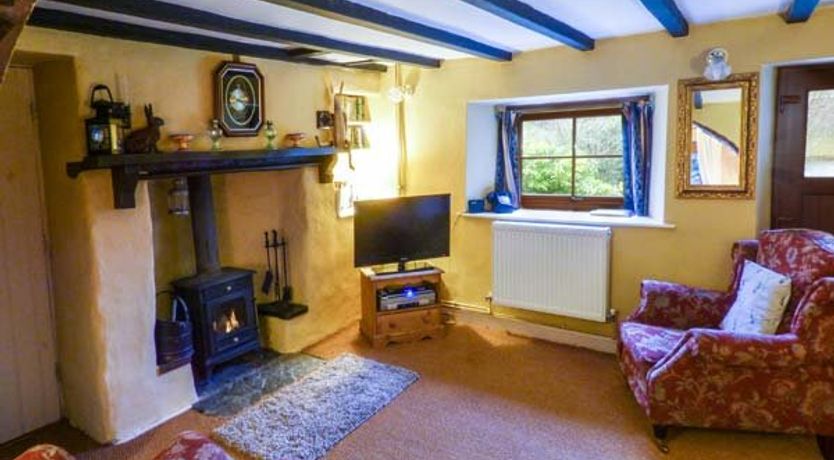 Photo of The Wilderness