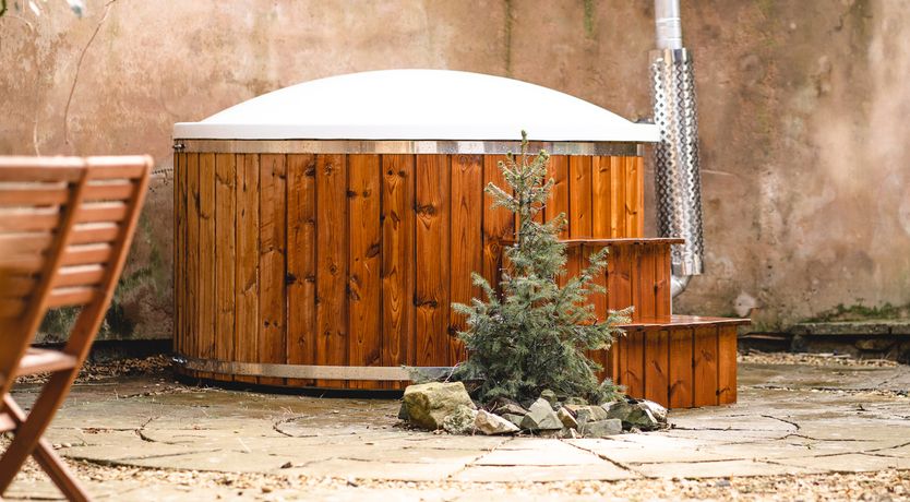 Photo of The Wilderness