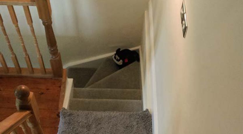 Photo of 12 Rattle Row