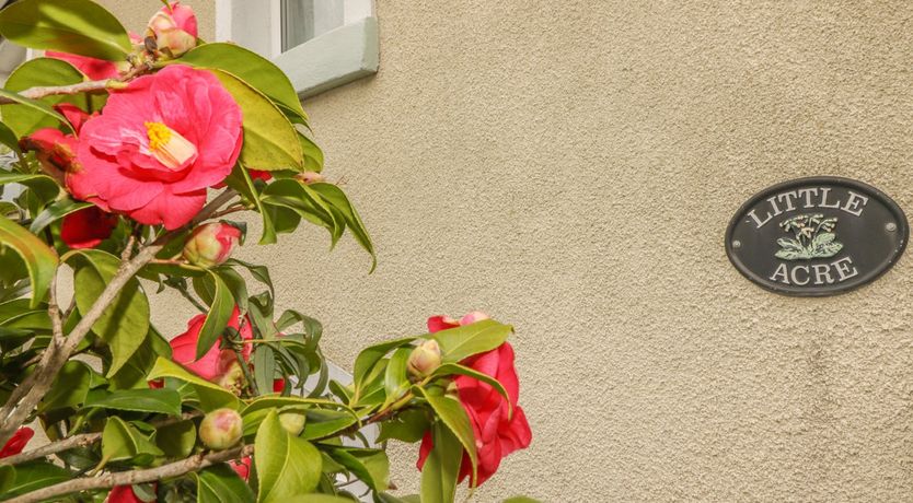 Photo of Little Acre