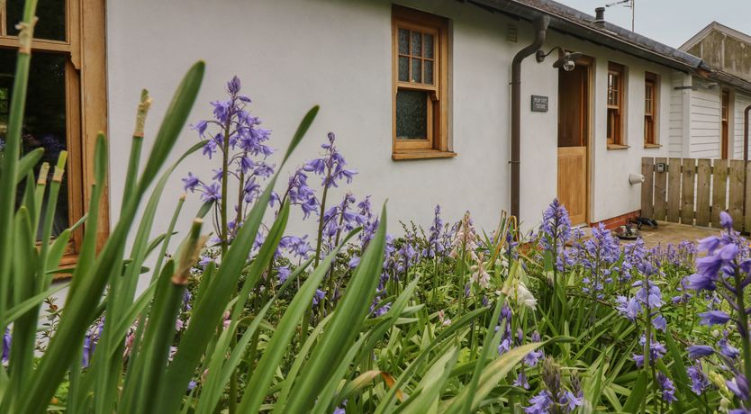 Photo of Plum Tree Cottage