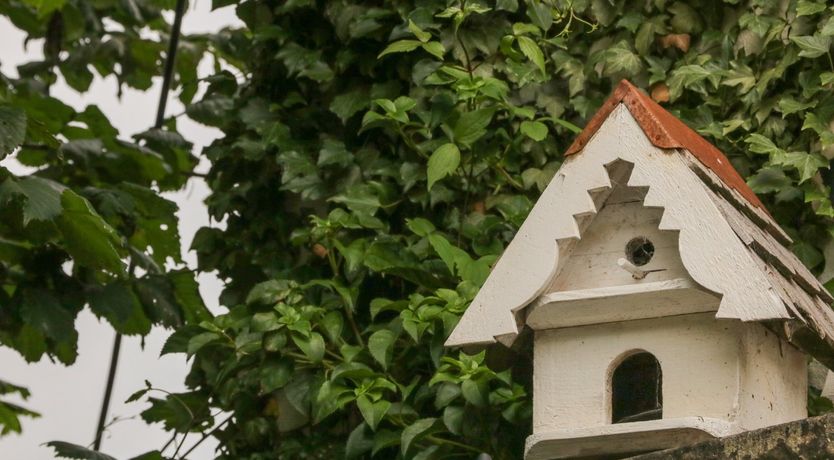 Photo of Grange Cottage